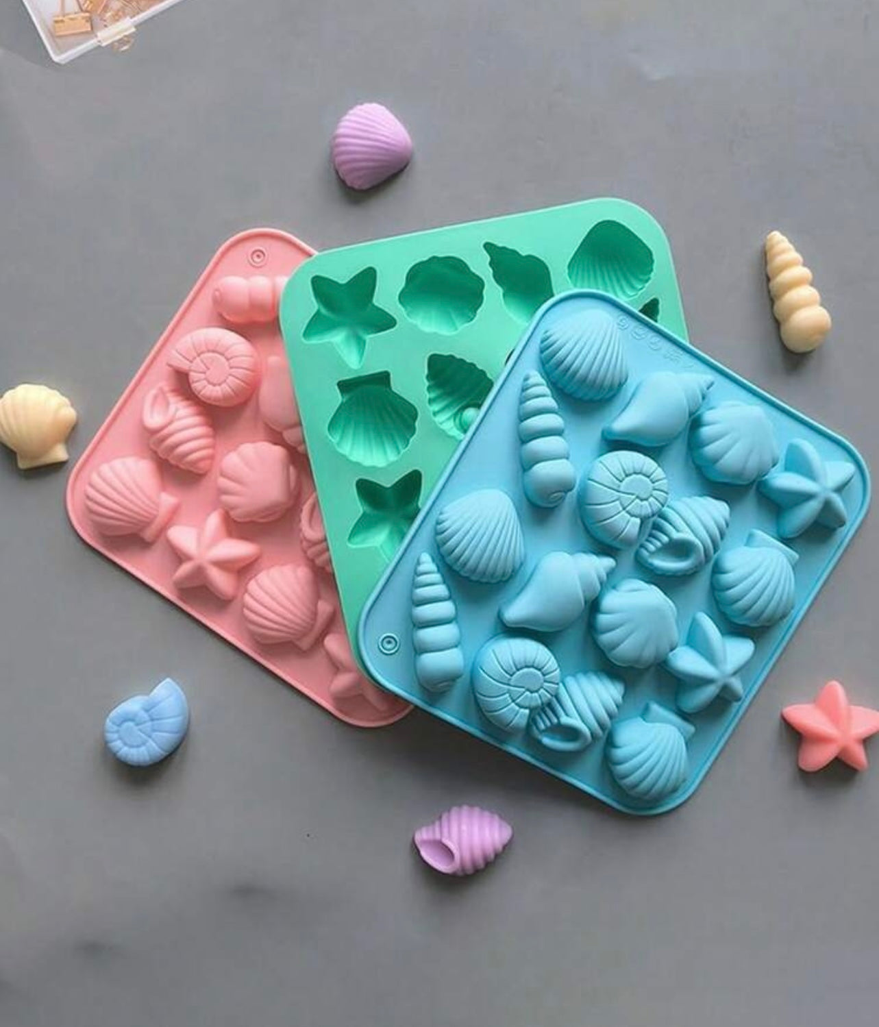 Sea shells
