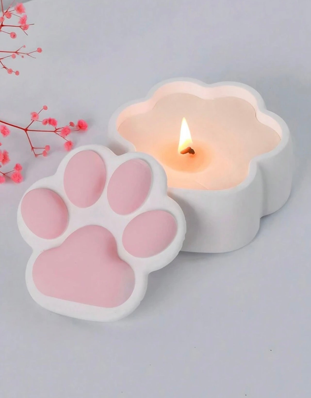 Paw Jar Mold