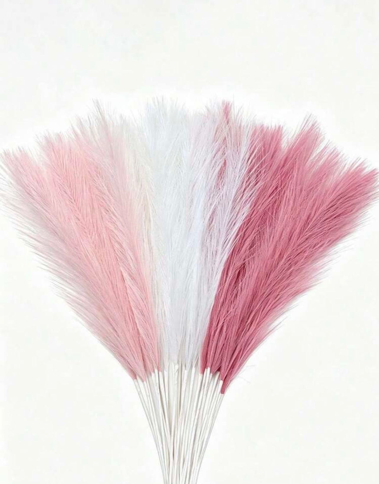 Pack of 12