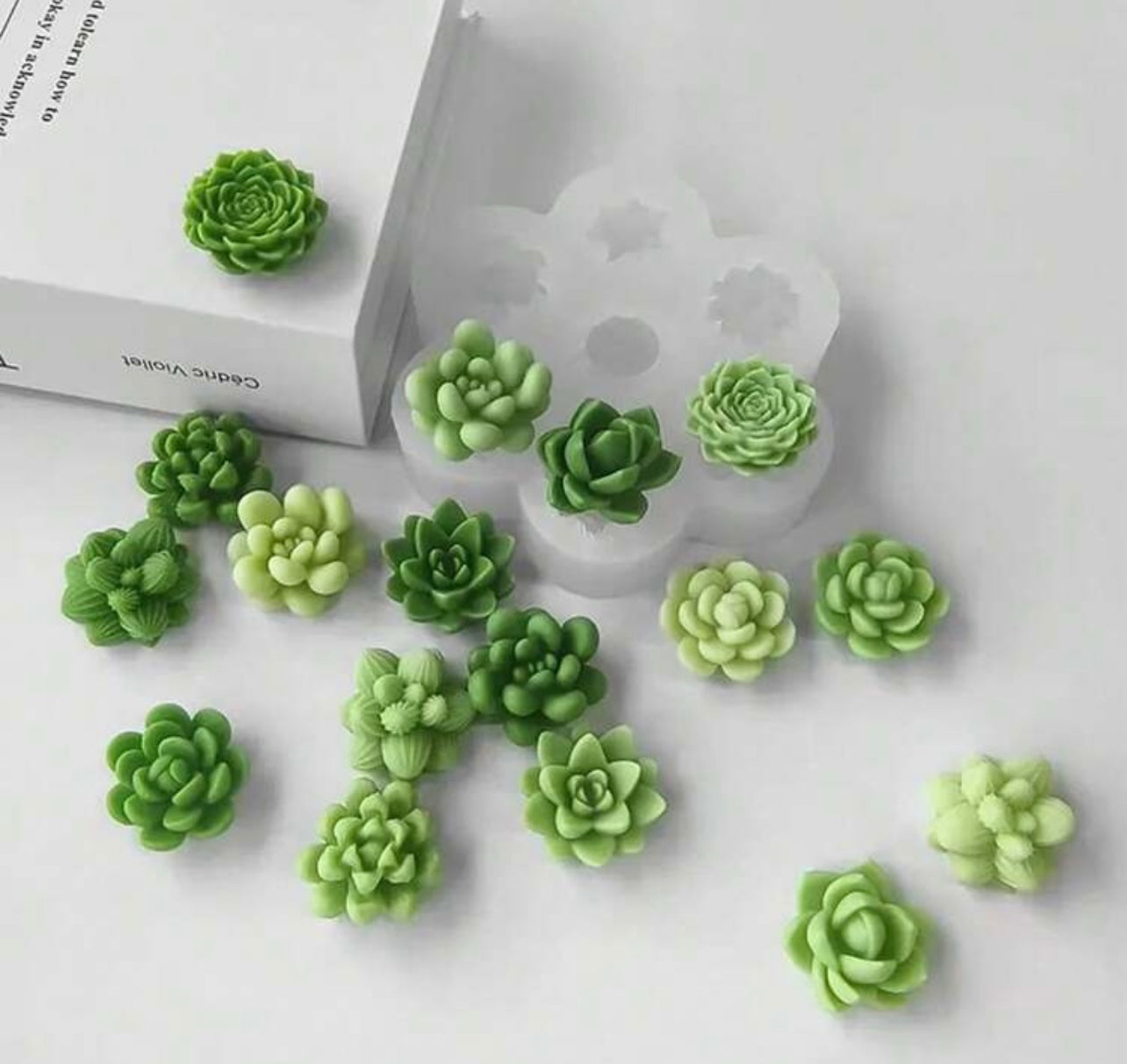 Cactus Succulent Mold