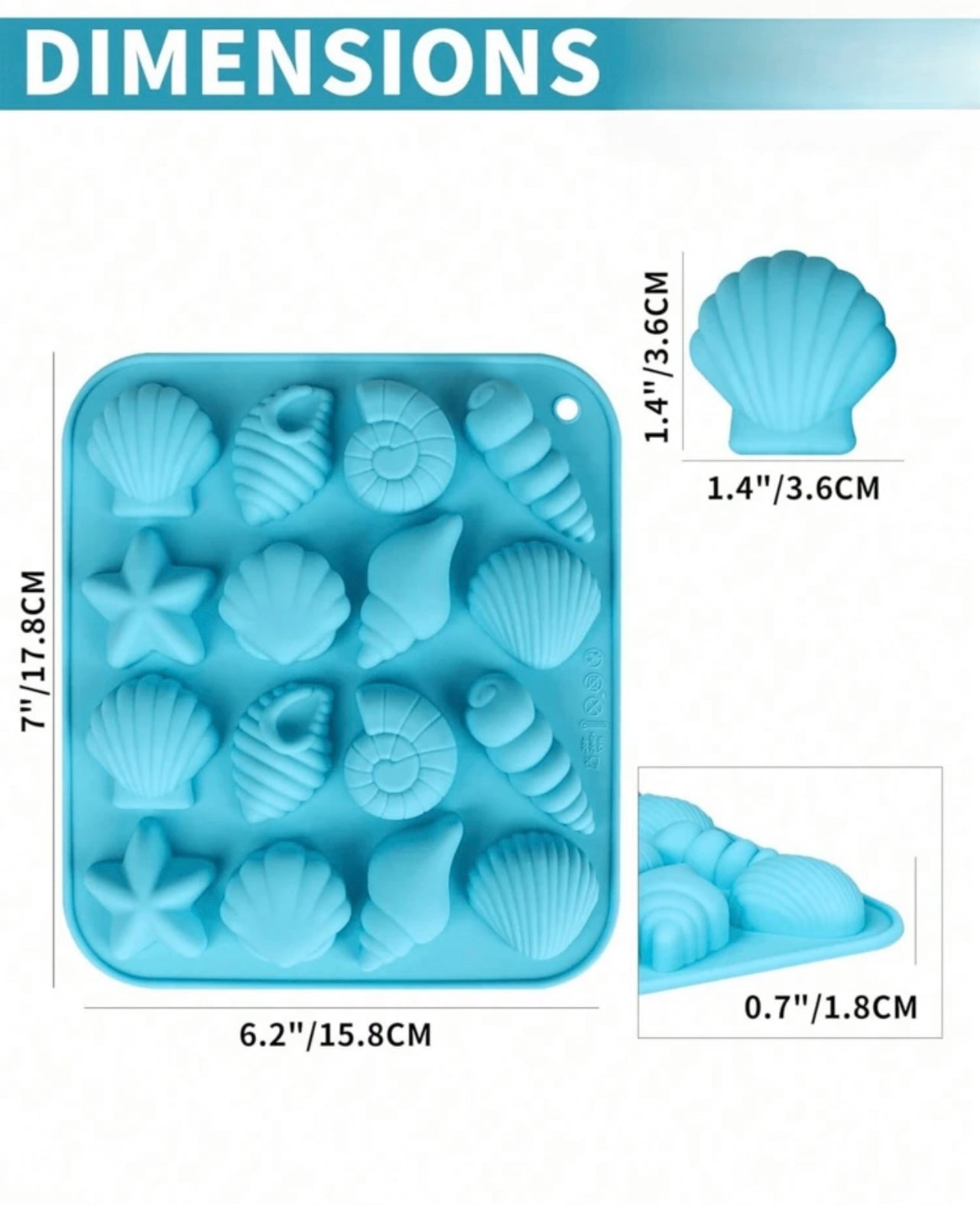 Sea shells