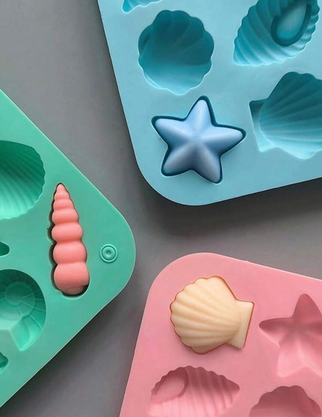 Sea shells