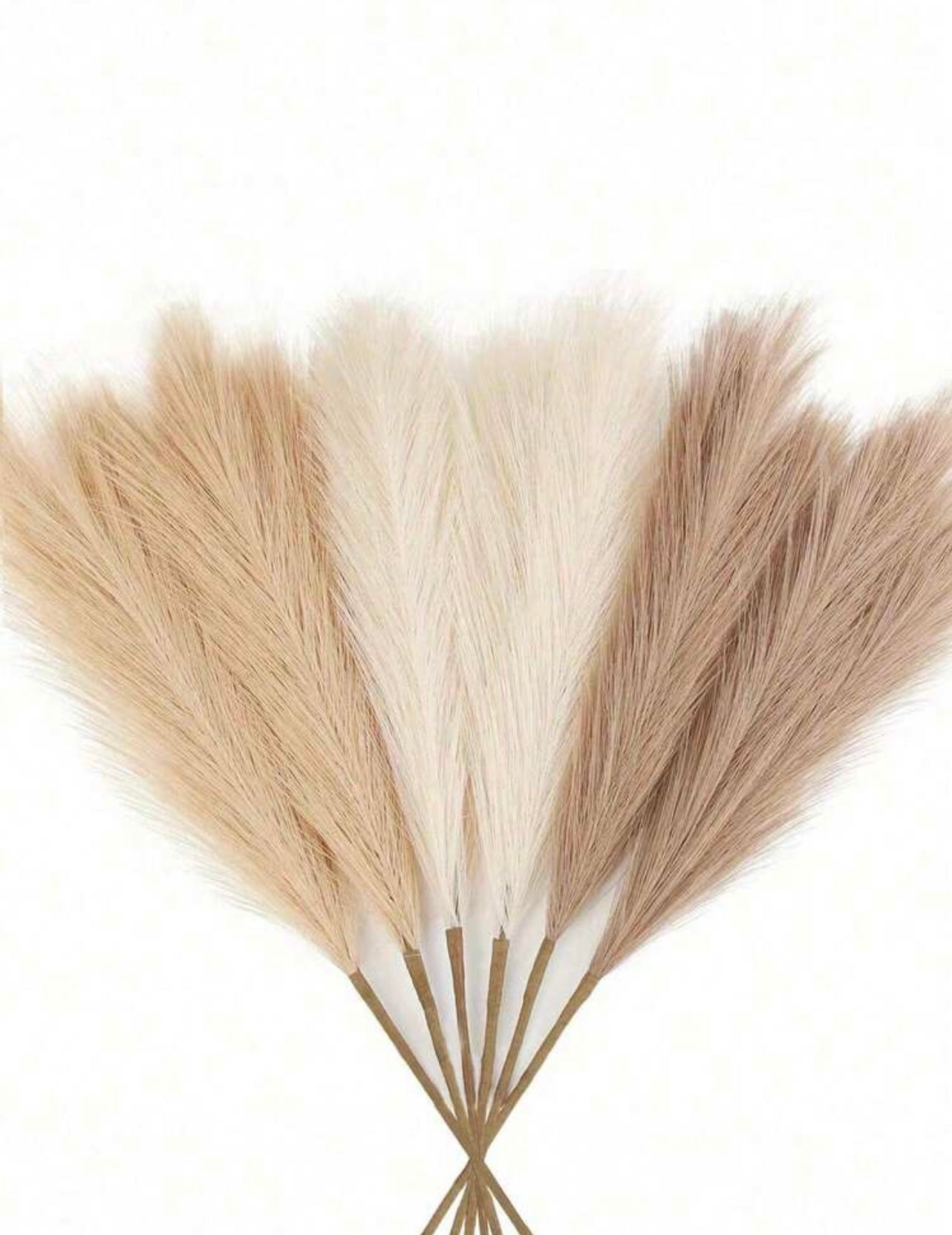 Pack of 12